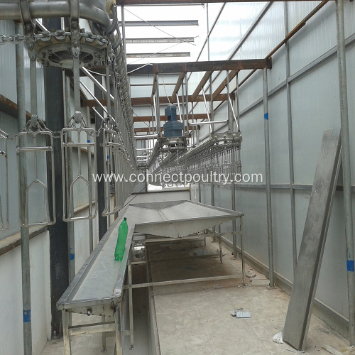 Poultry processing equipment bleeding trough